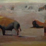 Buffalo_near_nanton_008_card