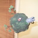 Dscn6339_square