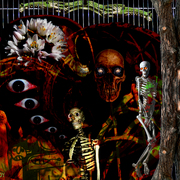 Digitale_card