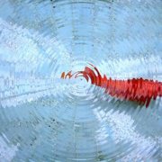 Liquid_fish1_small_card