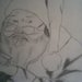 1205082002_1__square