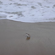 Picture_1420_card