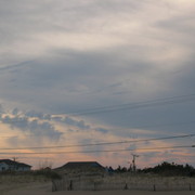 Picture_1415_card