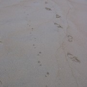 Picture_1432_card