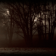Nightwalk_col_bwlgsh_card