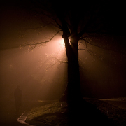 Walkingshadowsq_card