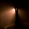 Walkingshadowsq_thumb