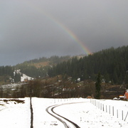 Img_0675_card