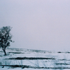 Landscape_4_thumb