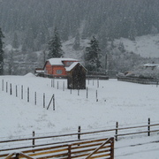 Img_0649_card