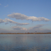 Landscape_3_thumb