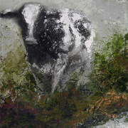 Vaca_card