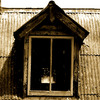 P1010418_copy_thumb