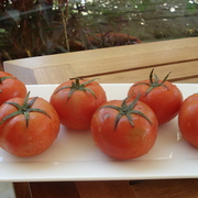 Dsc00755_card