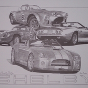 Shelby_by_sketchesbychris_card