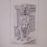 Dog_card