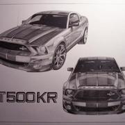 Gt500kr_card