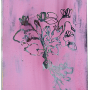 Cyclamen__card