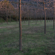 Img_0080_card