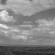 To_stop_and_kiss_the_sky_bw_card
