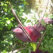 Pic02698_card
