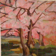 Cherry_blossom___card