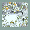 Elenaportrait_e_neve_023_thumb
