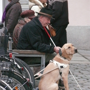 P1050534_card