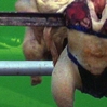 Marcelo Fica
