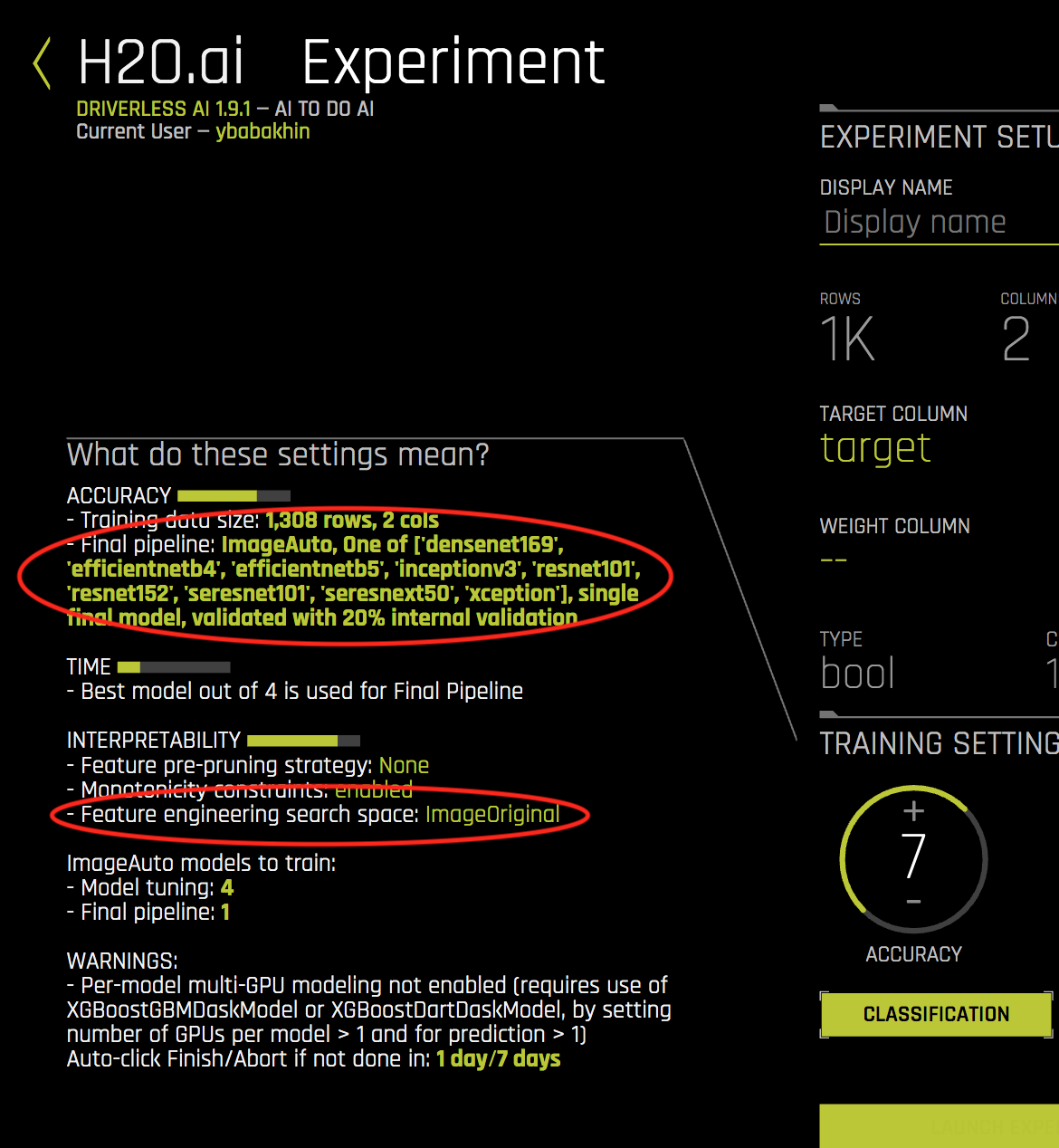 Automatic Image Model Preview