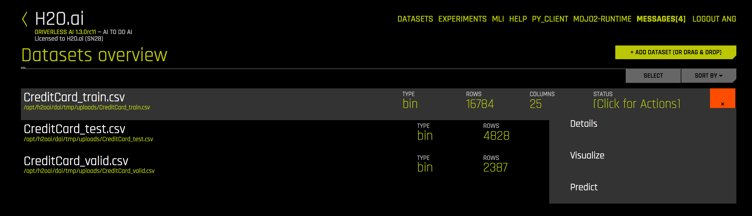 Datasets action menu