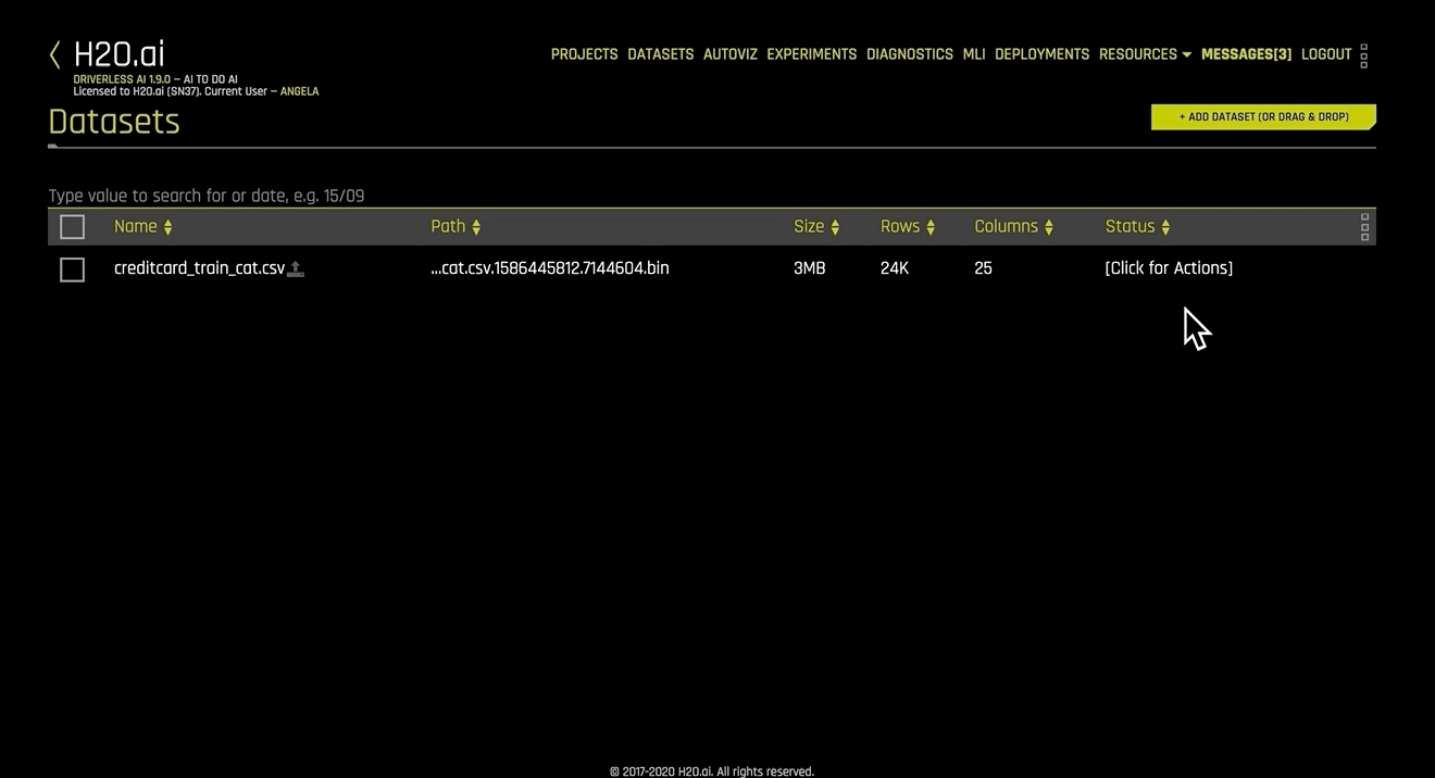 Describing Datasets and Rows Example