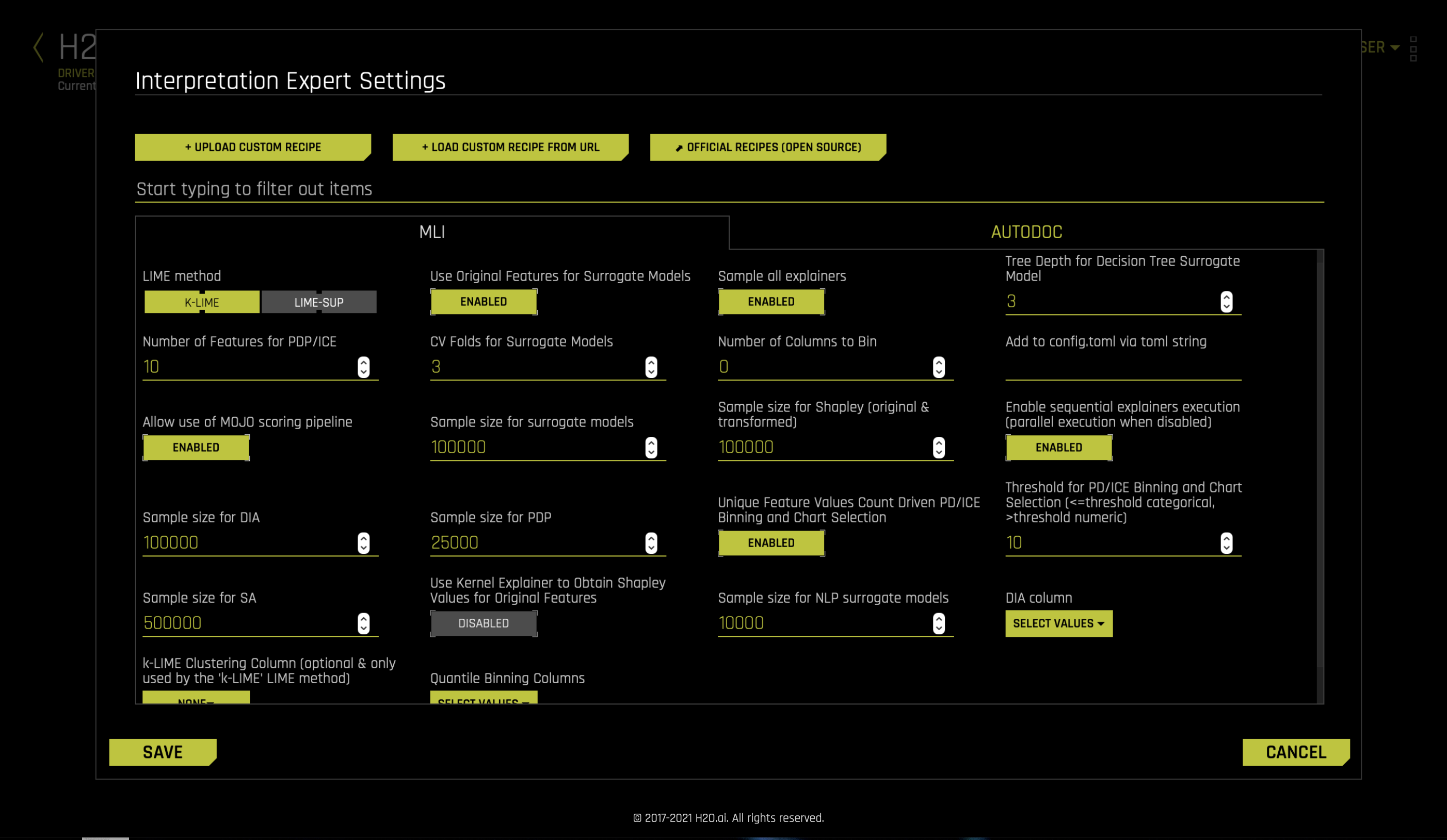 Interpretation Expert Settings