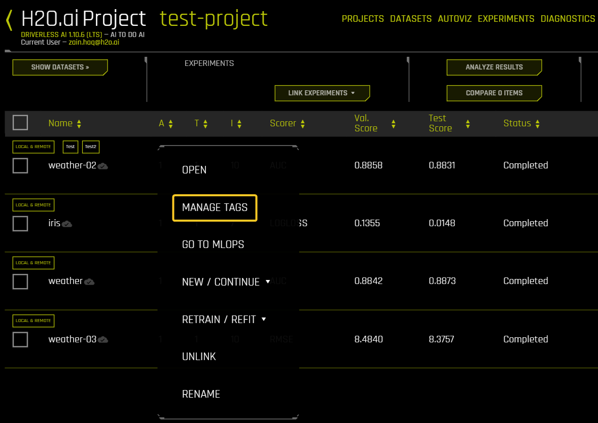 Access the experiment Tags panel