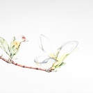 1b1c93cb63_small