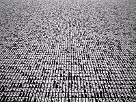 Finding_221_large
