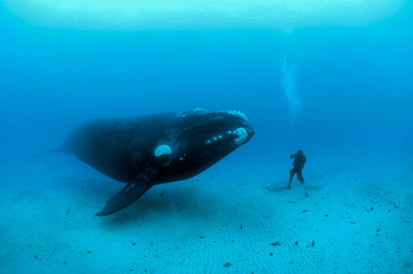 Finding_287_large