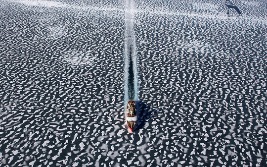 Finding_72_large