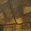 Plfsweb_square
