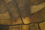 Plfsweb_tiny