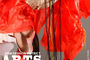 Reddress_image_titles_tiny