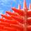 Cones_square
