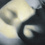 48609_zhang_x_square