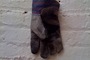 Photo_6__tiny