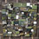 Mike_sanzone_square