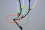 Sonnier_kgama_2007_tiny