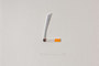 Smokingcigarettetwhfraser_tiny