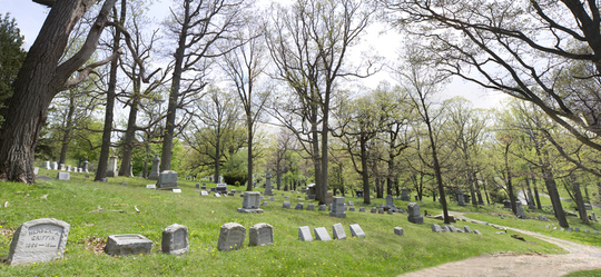 Cementery4_72_large