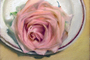 A ROSE