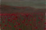 Laloucelaya-wind-poppy-field_tiny